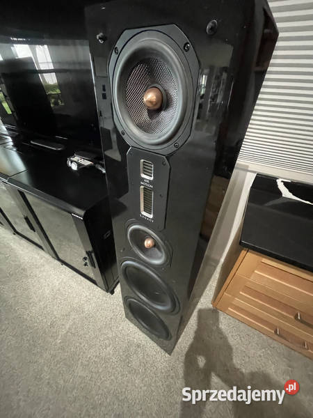 Legacy Audio Focus SE Floorstanding Speakers Torzym sprzedam