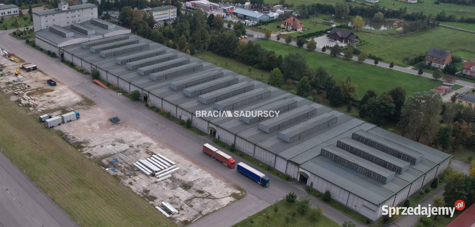 Lokal Szczucin Piłsudskiego 94500m2 Sprzedaż