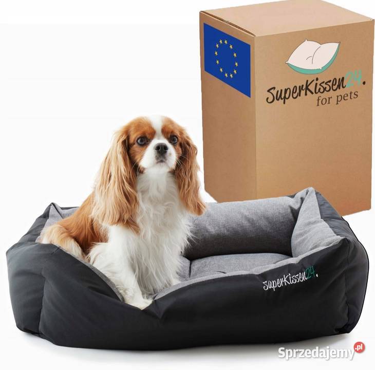 Legowisko małego psa kota kanapa sofa spanie Ruda Śląska