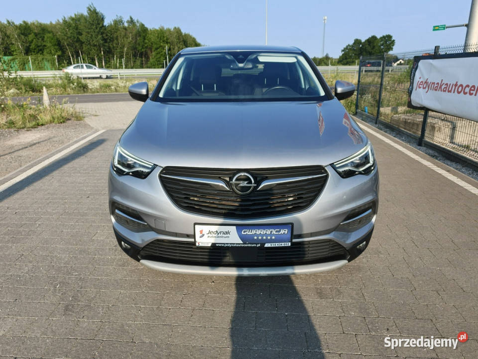 Opel Grandland X SUV Lipówki