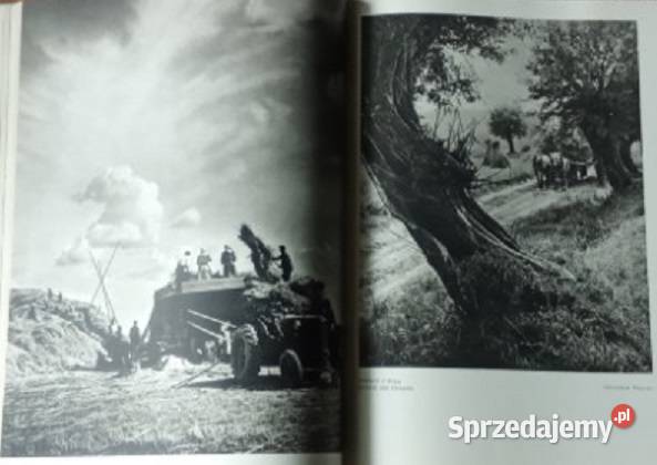 Cztery pory roku 1955r albumfoto ilustrowany Łódź
