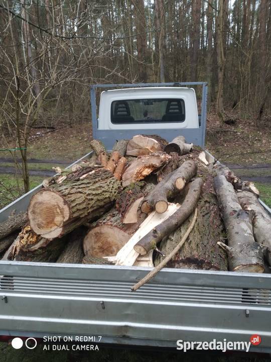Drewno opałowe Opał Opole Lubelskie