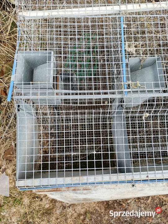Klatki królików sprzedam