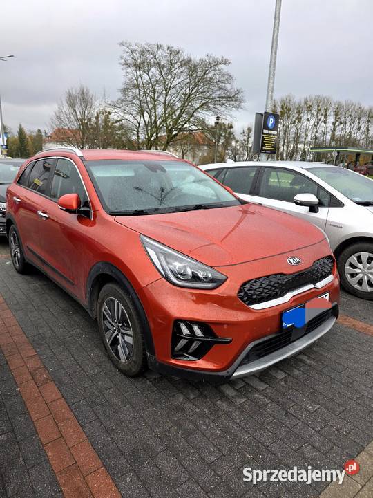 Kia Niro 16 GDI Hybryd Wersia L Business Niro Słupsk