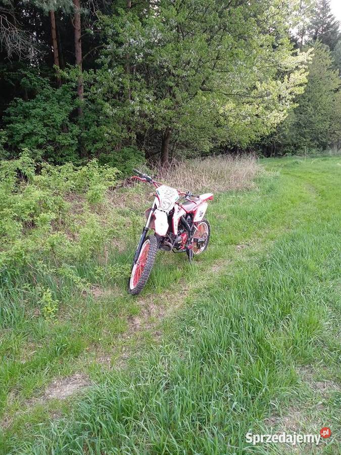 Rieju mrt 50 2014 Tomaszów Lubelski