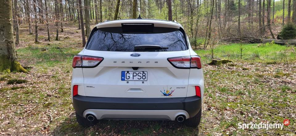 FORD ESCAPE 15 EcoBoost AWD SE 2022R przebieg 47 Zarejestrowany w Polsce Mojusz