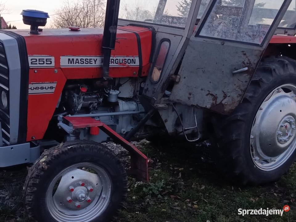 sprzedam fergusona sprzedam