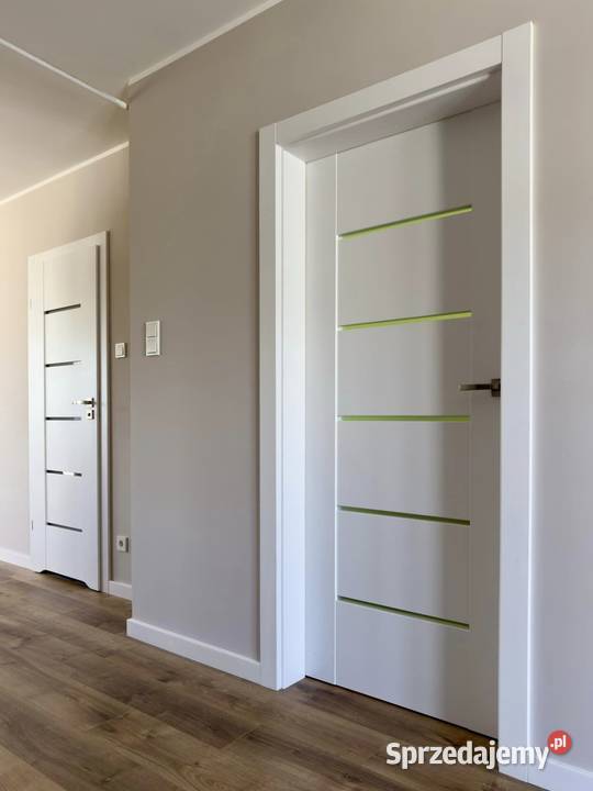 OBUDOWA STARYCH FUTRYN BEZ WYRYWANIA DRZWI OŚ