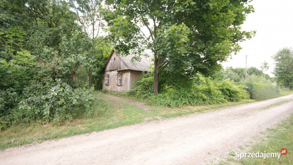 Dom na działce rolno-budowalna 68ar Gołąb g.Michów