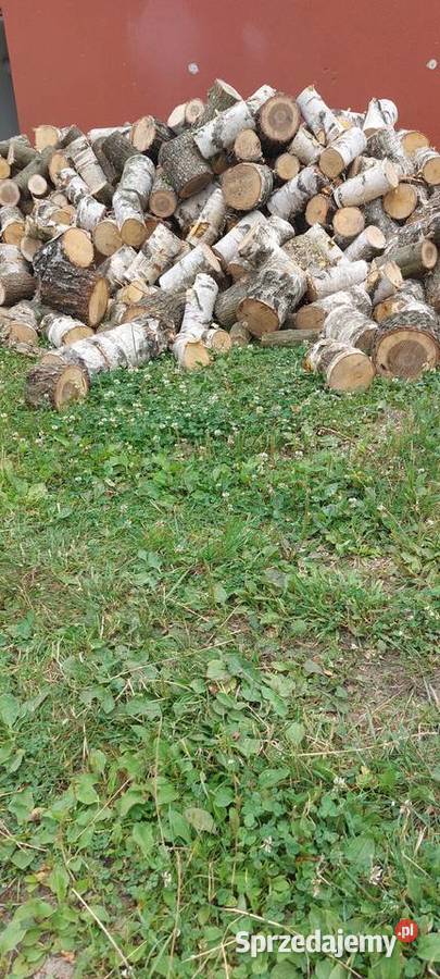 Drewno opałowe Skarżysko-Kamienna sprzedam