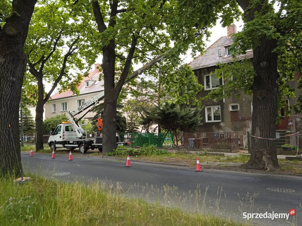 Podnośnik koszowy wynajem usługi zwyżka wycinka Wrocław