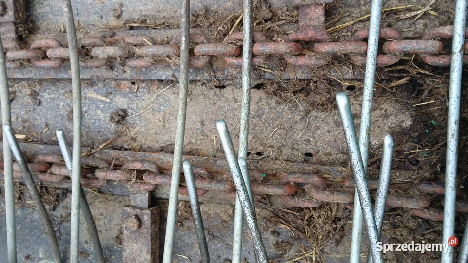 Sprzedam rozrzutnik 2 osiowy Jemielnica