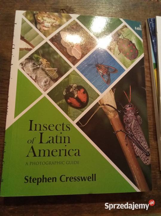 Insects of latin America angielsku Rok wydania 2020 mazowieckie