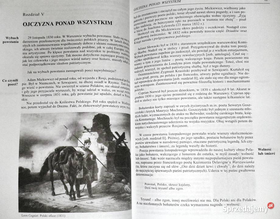 Romantyzm Alina Kowalczykowa Chełm