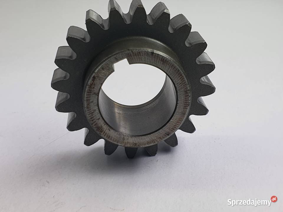 Tryb Walu Zebatka Tm Mx 250 łódzkie Łódź