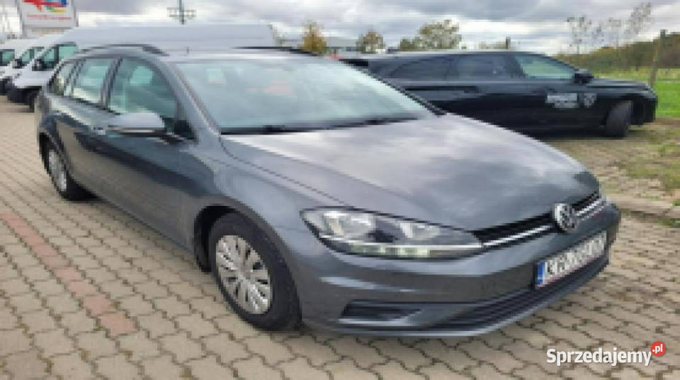 Volkswagen Golf VII (2012-)