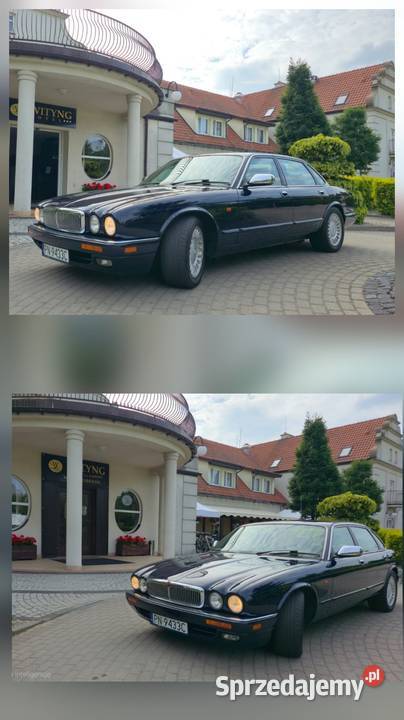 Jaguar XJ wynajem samochodu ślub Konin