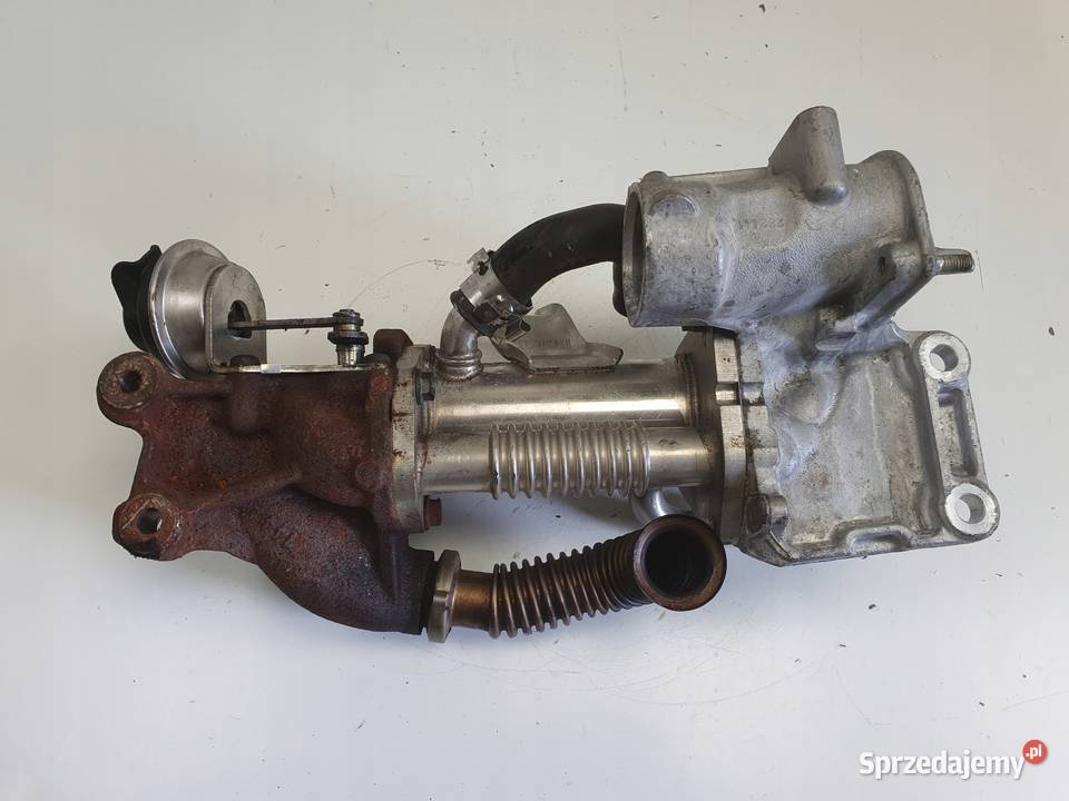 Renault Megane III 15 DCI CHŁODNICA SPALIN egr Silniki i osprzęt Rudka