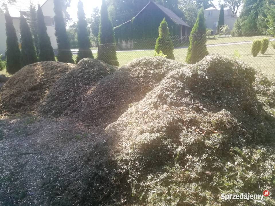 Rębak spalinowy Rolnictwo Błażowa Dolna