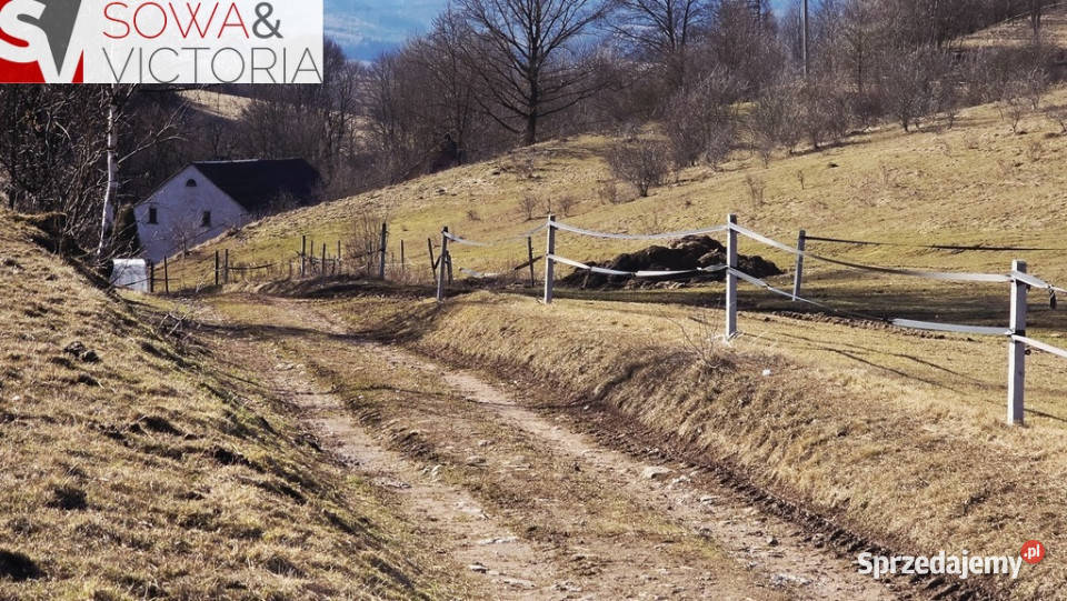 Inwestycyjna granicy z Czechami i węźle S3 Chełmsko Śląskie sprzedam