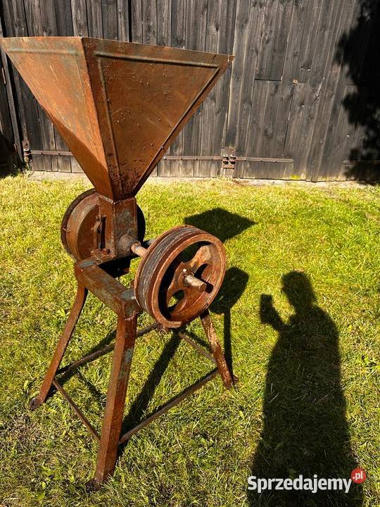 Śrutownik Kruszwica