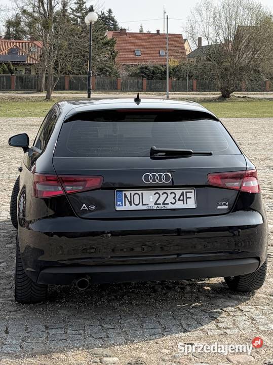 Audi A3 8v 16 TDI 2015 Czarny warmińsko-mazurskie Olsztynek sprzedam