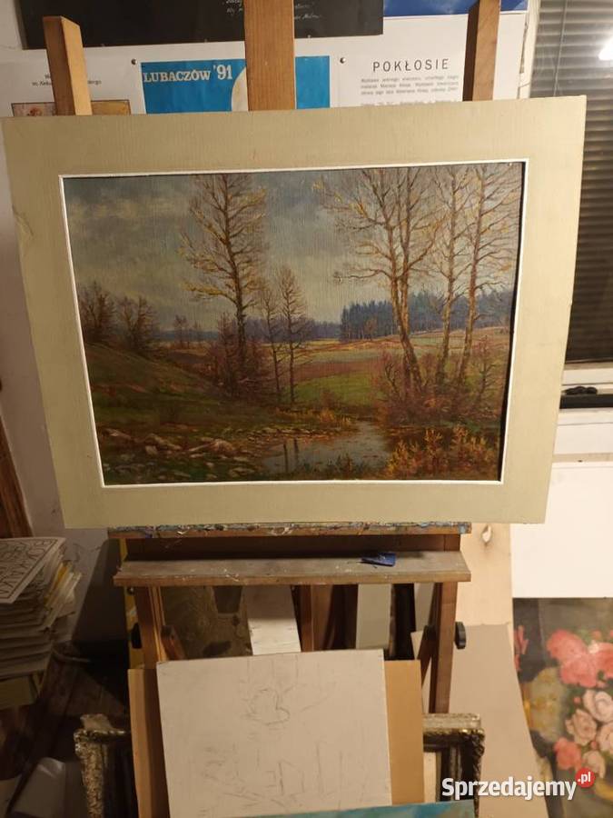 Pejzaż pogórze Sądeckiego śląskie Bielsko-Biała