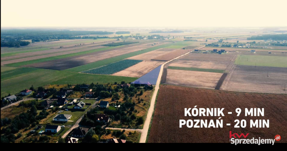 sprzedaży gruntu Czołowo 2980m2 Sprzedaż