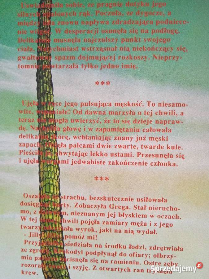 POWRÓT DO EDENU dwa tomy Rosalind Miles miękka Proza i poezja Piła