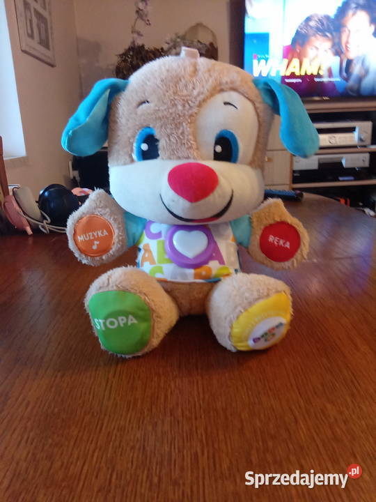 Szczeniaczek Uczniaczek Częstochowa