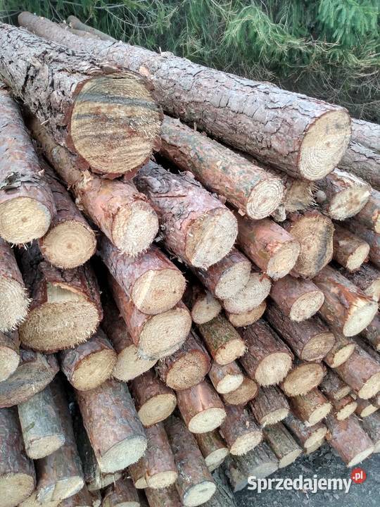 Sprzedam słupki drewniane pod ogrodzenie sosna 6 mazowieckie Sienno sprzedam
