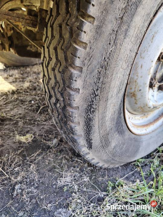 5 kół do żuka wielkopolskie Wilkowice