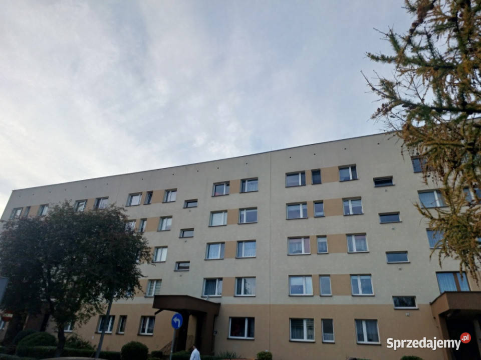 prywatne Czeladź sprzedam