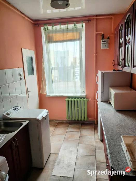 2 pokoje Gdańsk Oruniazwierzęta mile widziane pomorskie