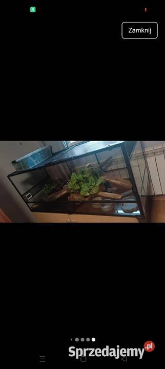 Terrarium