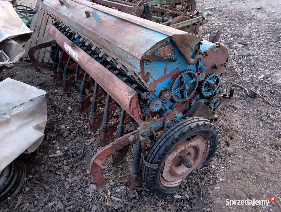 Siewnik nieuszkodzony Bieliny