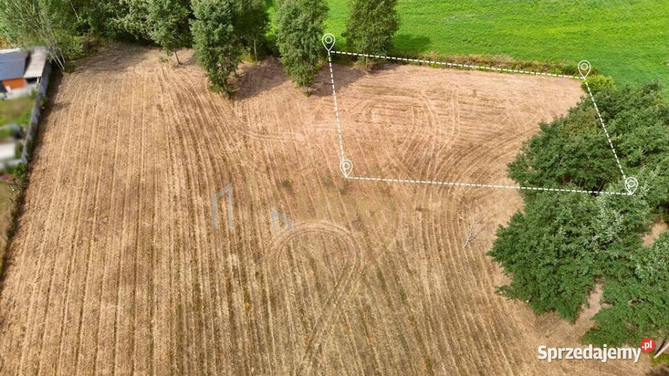 Działka z wydanymi WZ 1150 m2 polna Marszewo