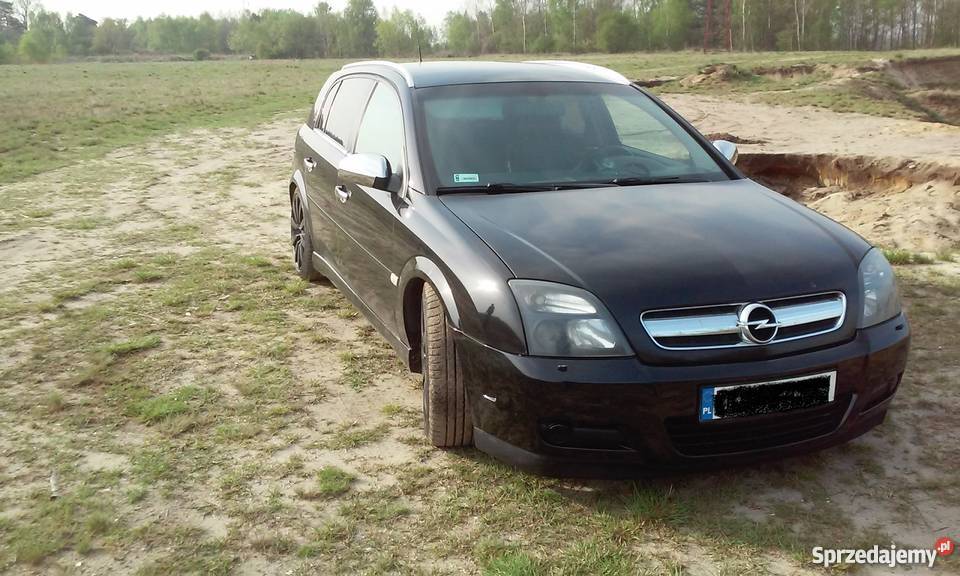 Opel Signum GAZ LPG 20T 175 KONI Samochody osobowe dolnośląskie sprzedam