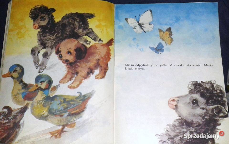 Czarna owieczka Jan Grabowski lubelskie Chełm