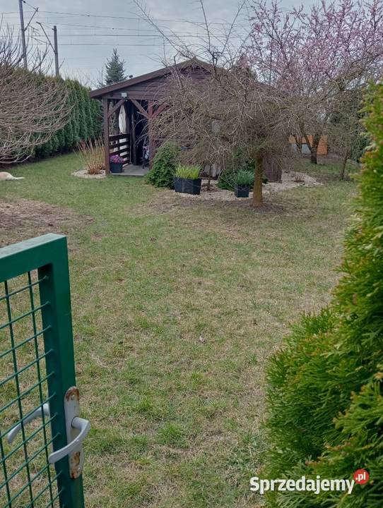Działka 300m2 ROD Środa Wielkopolska Sprzedaż