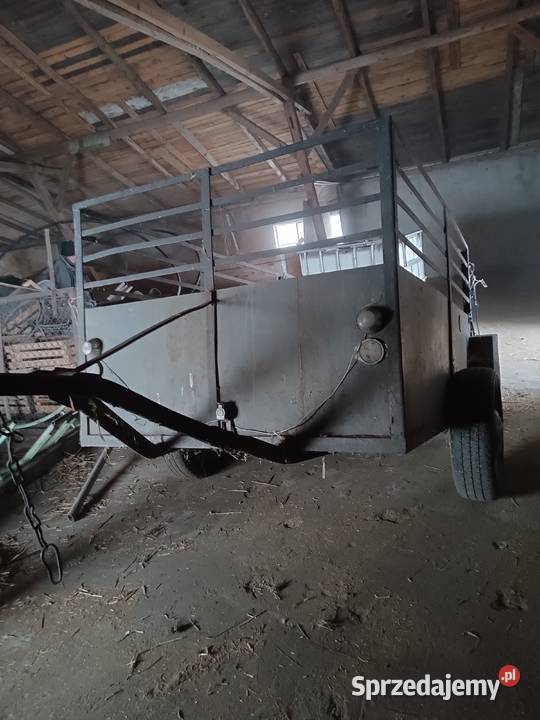 Wózek do przewozu zwierząt kołówka bryczka Tykadłów