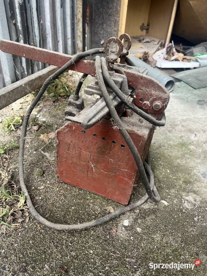 Pila tasmowa Mnichus