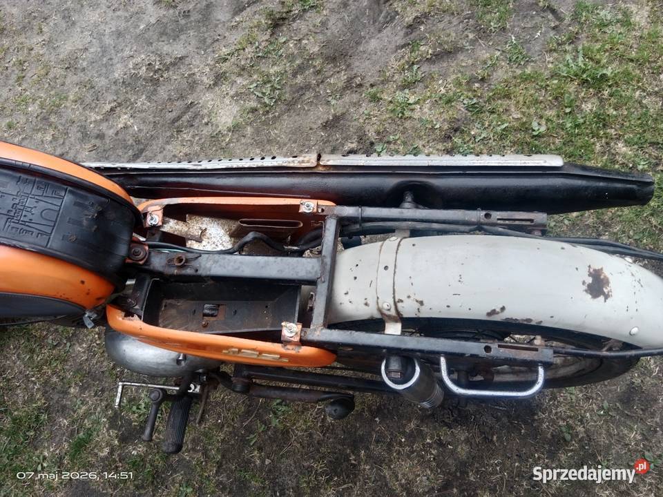 Wsk lelek 76 dudek bąk gil oryginał Czersk