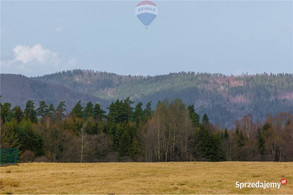 Działka w Sopotni Wielkiej kŻywca