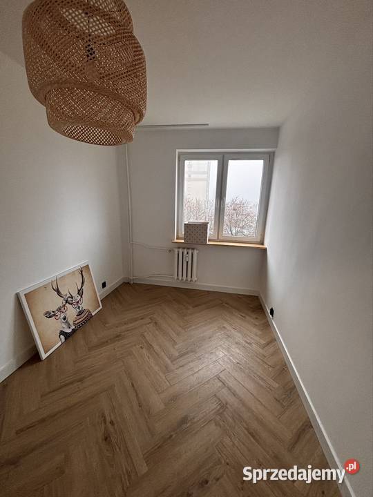 Mieszkanie 3 pokoje Retkinia