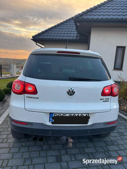 VW Tiguan nieuszkodzony Dębica