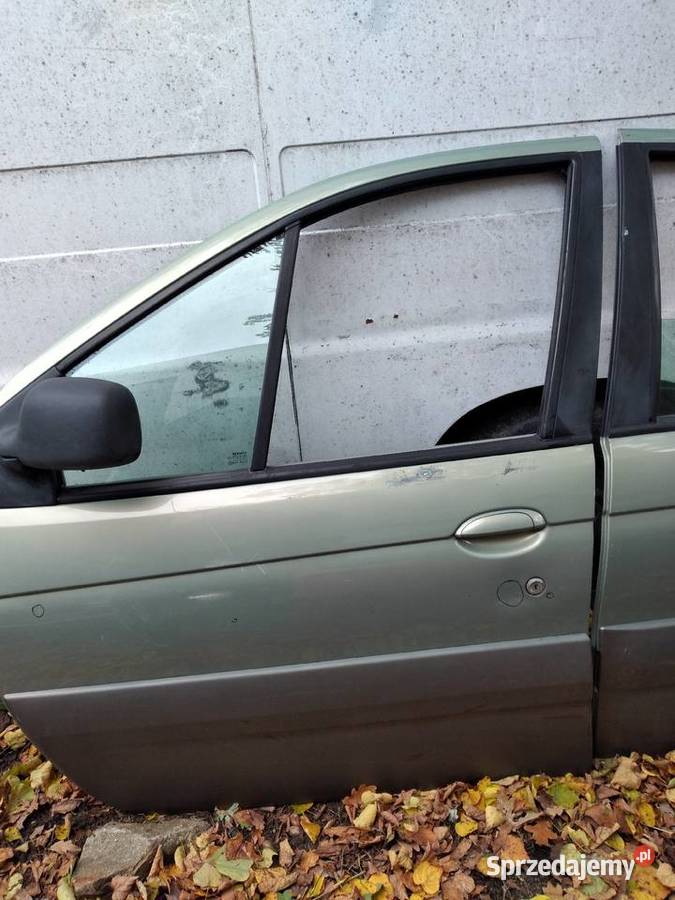 RENAULT MEGANE SCENIC RX4 DRZWI LEWY PRZÓD I TYŁ sprzedam