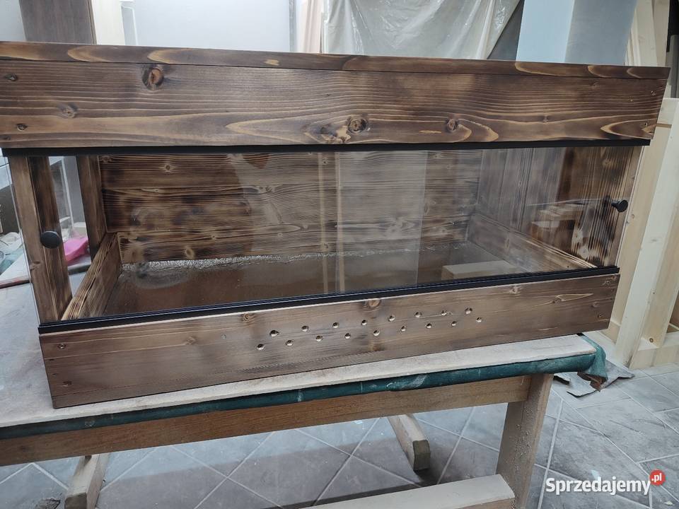 Promocja terrarium drewniane agama brodata gekon Siemianowice Śląskie