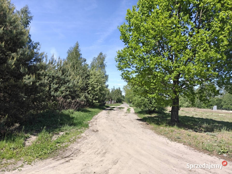 Michałów urokliwa działka budowlana 5500 m2 200m mazowieckie