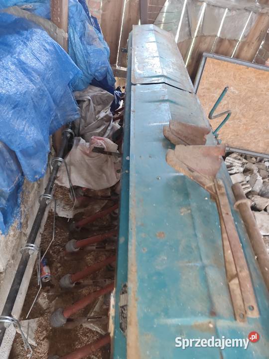 Siewnik poznaniak Zamość